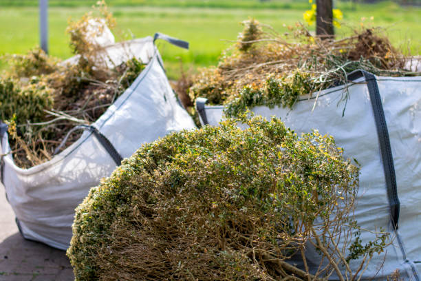  St Peter, MN Junk Removal Pros